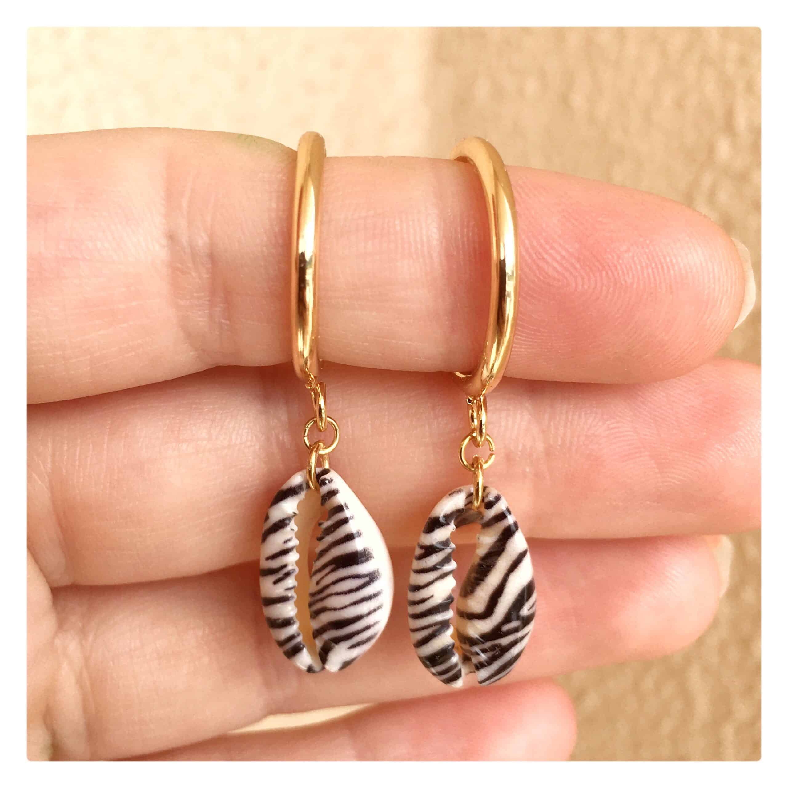 “Zebra” aro